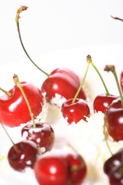 beyaz zemin üzerine krema, vişne