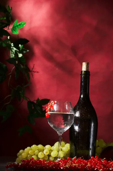 Glas en fles wijn — Stockfoto