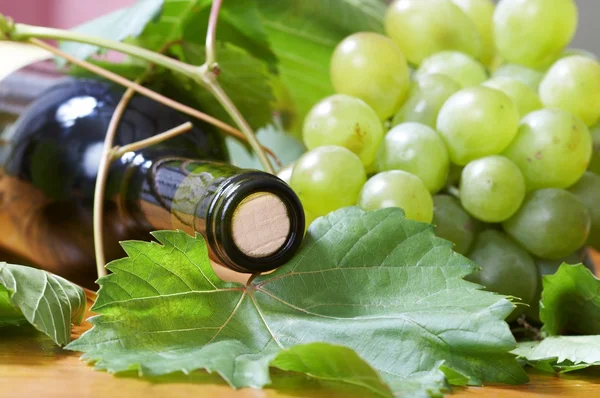 Vinflaska och unga druvsorter — Stockfoto