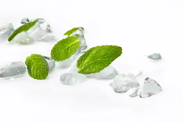 Feuilles de menthe dans la glace — Photo