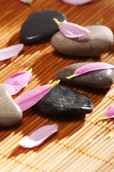 stock image Spa still life