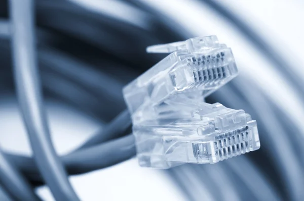 Câbles réseau et patch — Photo