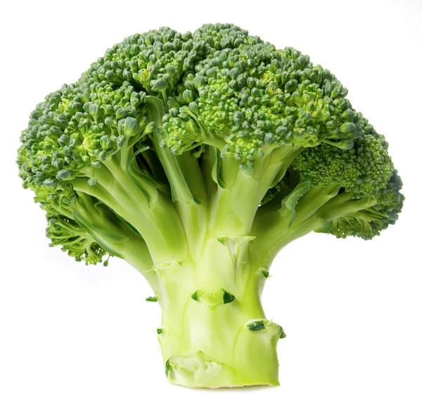 stock image Broccoli