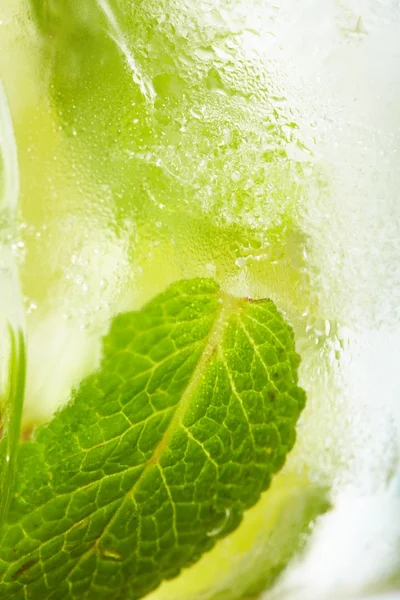 Mięta liściasta i cytrusy krojone w lodzie — Zdjęcie stockowe