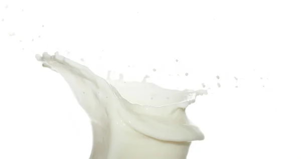 牛奶奶昔 — 图库照片