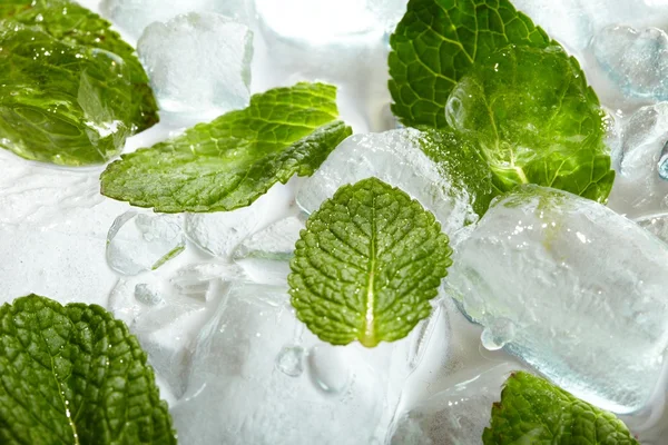 Feuilles de menthe dans la glace — Photo