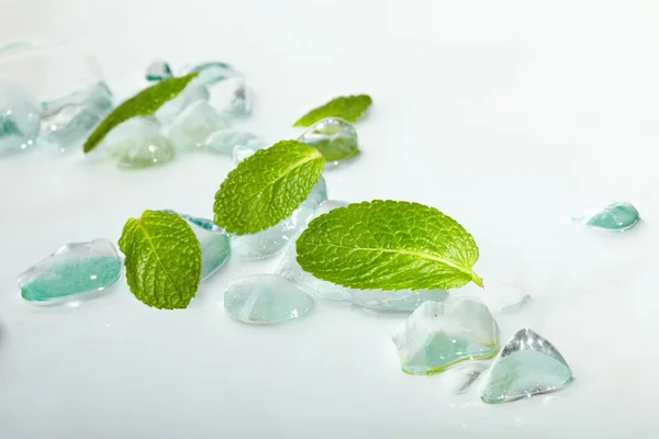 Feuilles de menthe dans la glace — Photo