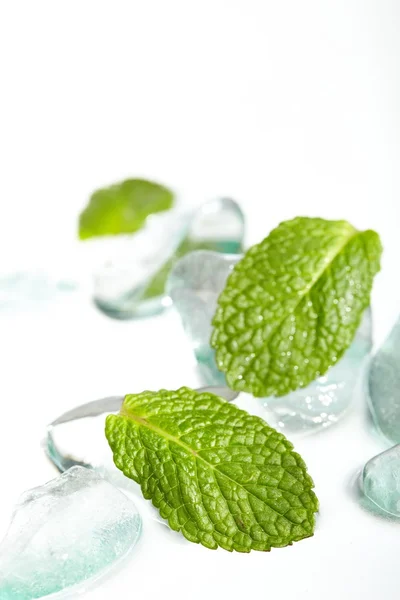 Bladeren van munt in ijs — Stockfoto
