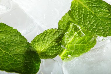 Buzlu nane yaprakları