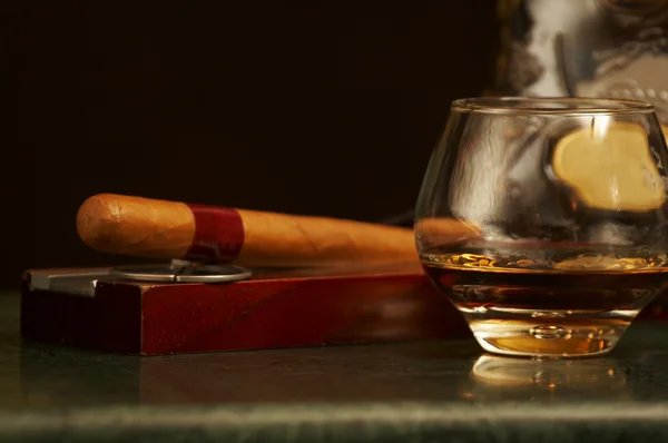 Classic cognac bottle, cigar — Stock Photo, Image