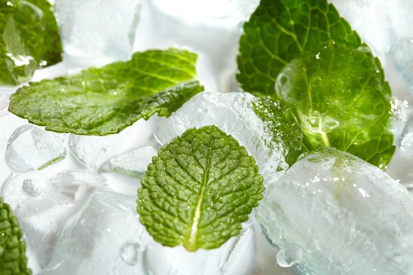 Leaves of mint in ice — Stock Photo, Image