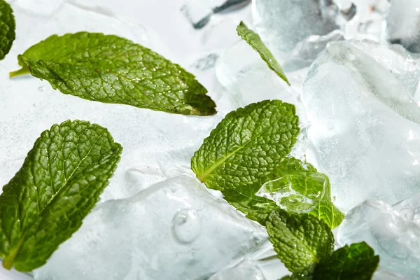 Leaves of mint in ice — Stock Photo, Image