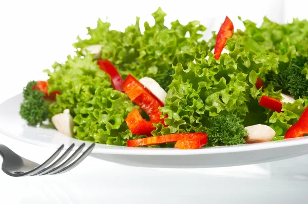 stock image Salad