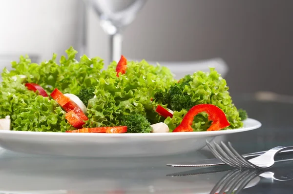 stock image Salad