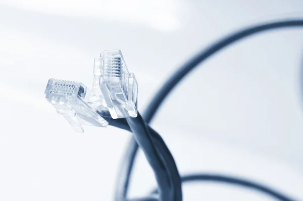 Kable sieciowe i patcha — Zdjęcie stockowe
