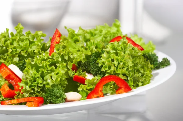 stock image Salad