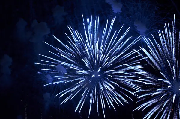 Vuurwerk ter ere van independence day — Stockfoto