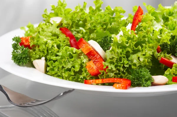 stock image Salad