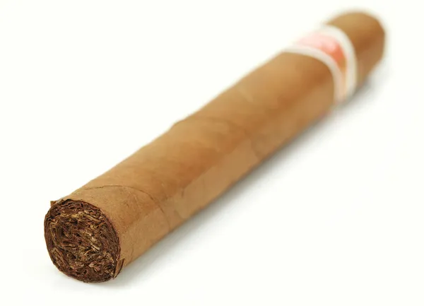 Cuban Cigar — Φωτογραφία Αρχείου