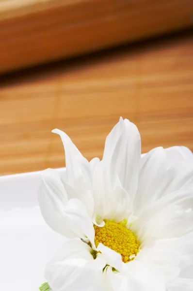 Flowers spa — Stock Photo, Image