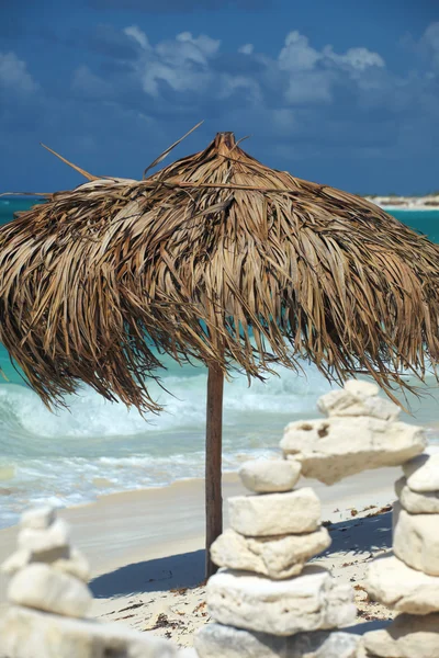 On a tropical island, travel background, cuba — Stock Photo, Image