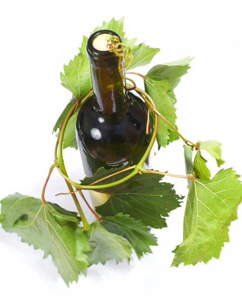 Botol anggur dan anggur muda — Stok Foto