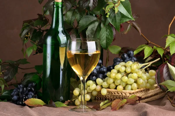 Бокал вина с бутылкой для дегустации вина — стоковое фото