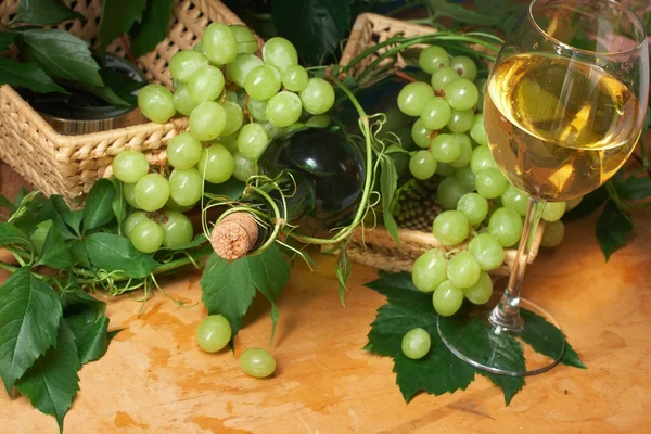 Vinglas med flaska för vinprovning — Stockfoto