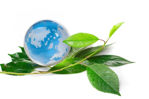 O conceito globo eco — Fotografia de Stock