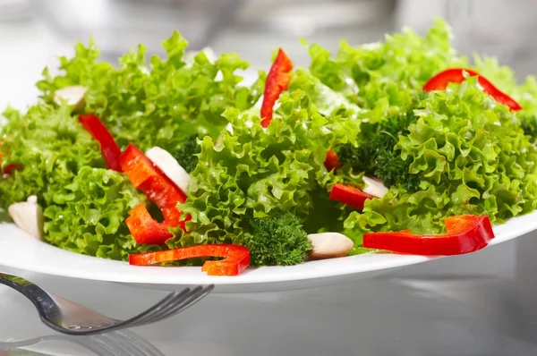 stock image Salad