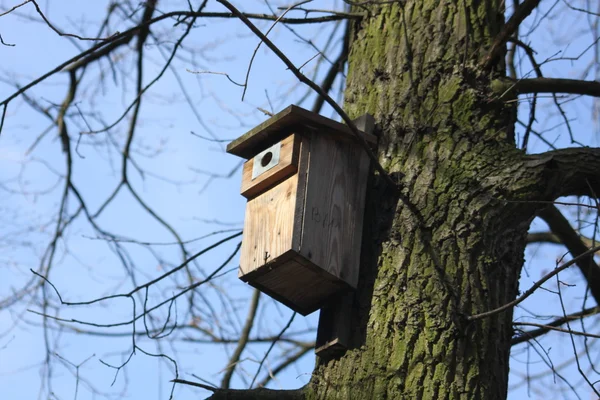 Коробка для птиц — стоковое фото
