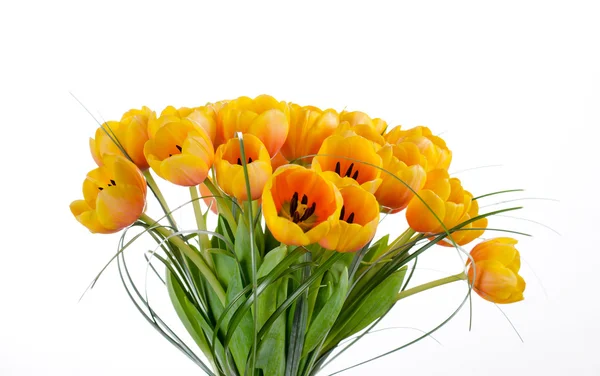 Buquê de tulipas — Fotografia de Stock