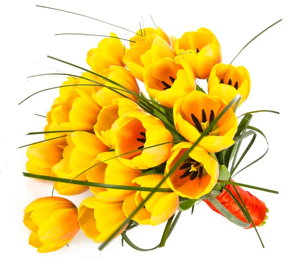 Closeup žluté tulipány — Stock fotografie