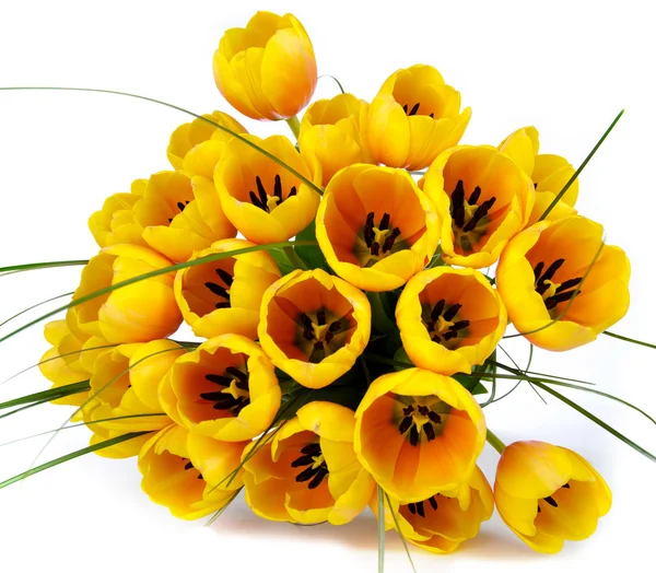 Ramo de tulipanes Imágenes de stock libres de derechos