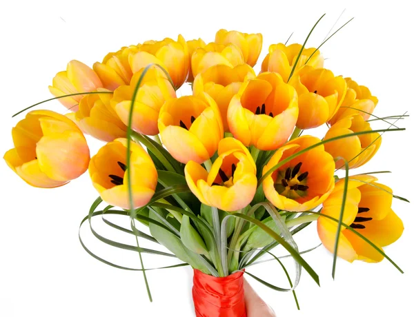 Ramo de tulipanes Imagen de stock