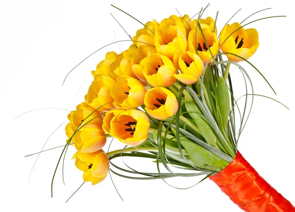 Tulips bouquet Stock Image