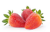 Картина, постер, плакат, фотообои "group of strawberries", артикул 9950119