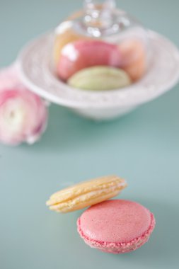 Fransız macaron, ünlü pasta