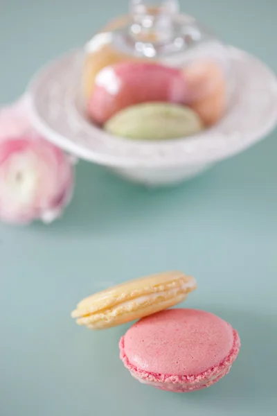French Macaron, das berühmte Gebäck — Stockfoto