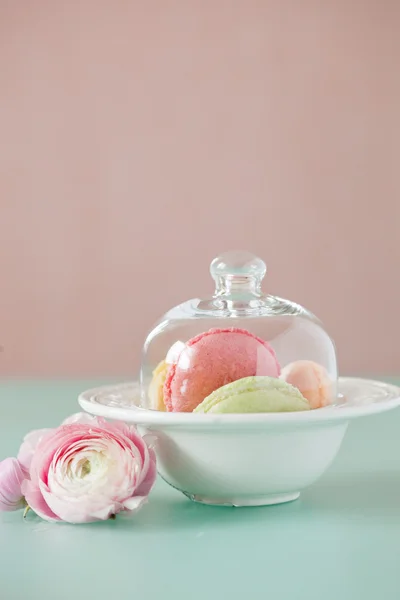Franse macaron, de beroemde gebak — Stockfoto