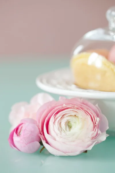 Francuski macaron, słynnego ciasta — Zdjęcie stockowe