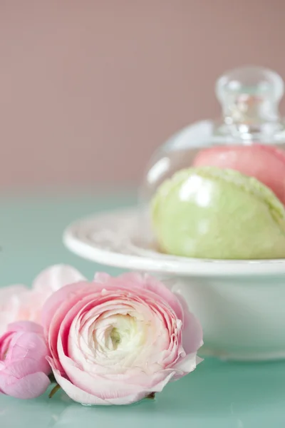 Macaron francês, a famosa pastelaria — Fotografia de Stock