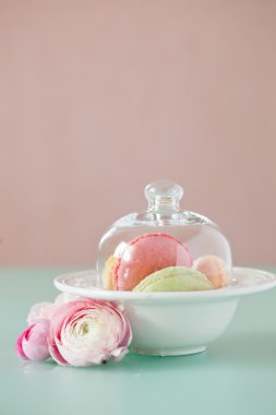 Fransız macaron, ünlü pasta