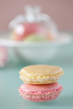 French macaron, the famous pastry clipart