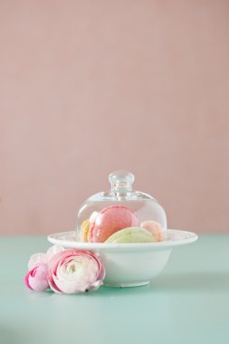 Fransız macaron, ünlü pasta