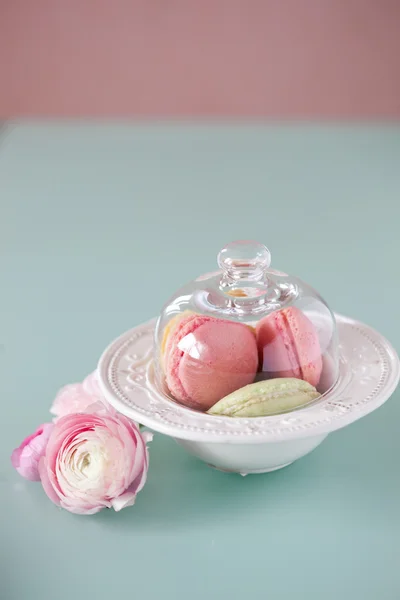 Francuski macaron, słynnego ciasta — Zdjęcie stockowe