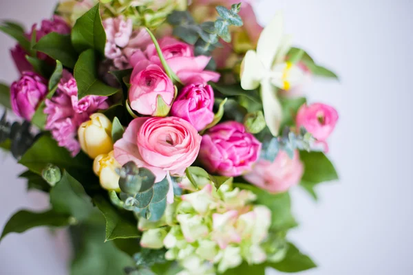 Flowers isolated on white background — Stock Photo, Image