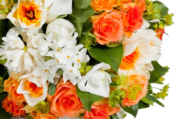 Flowers isolated on white background — Stock Photo, Image