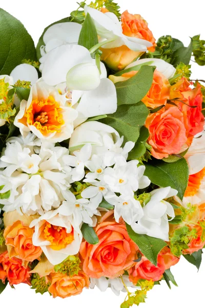 Flowers isolated on white background — Stock Photo, Image