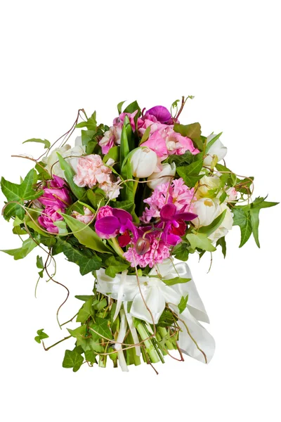 Beyaz arkaplanda izole çiçekler — Stok fotoğraf